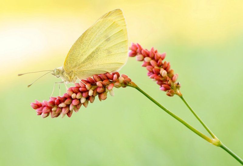 Look at yourself... фото превью