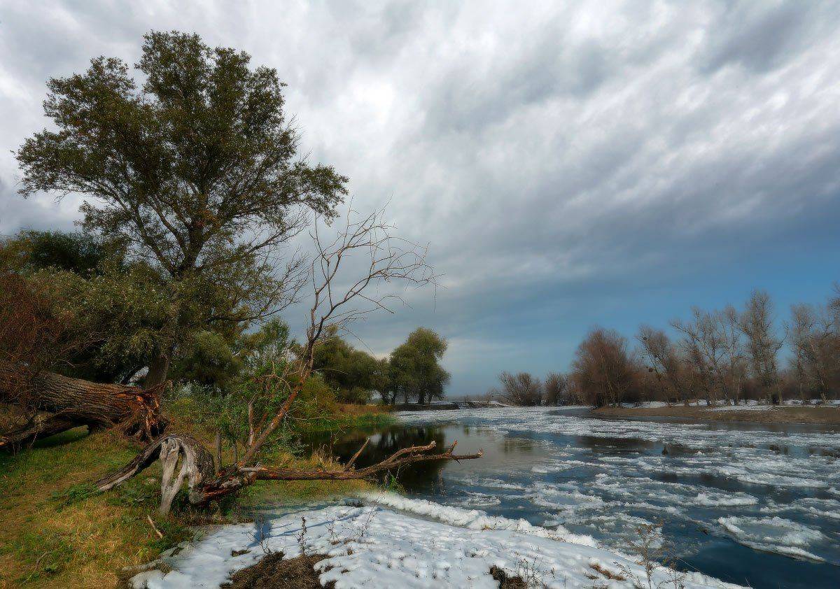 , Петриченко Валерий