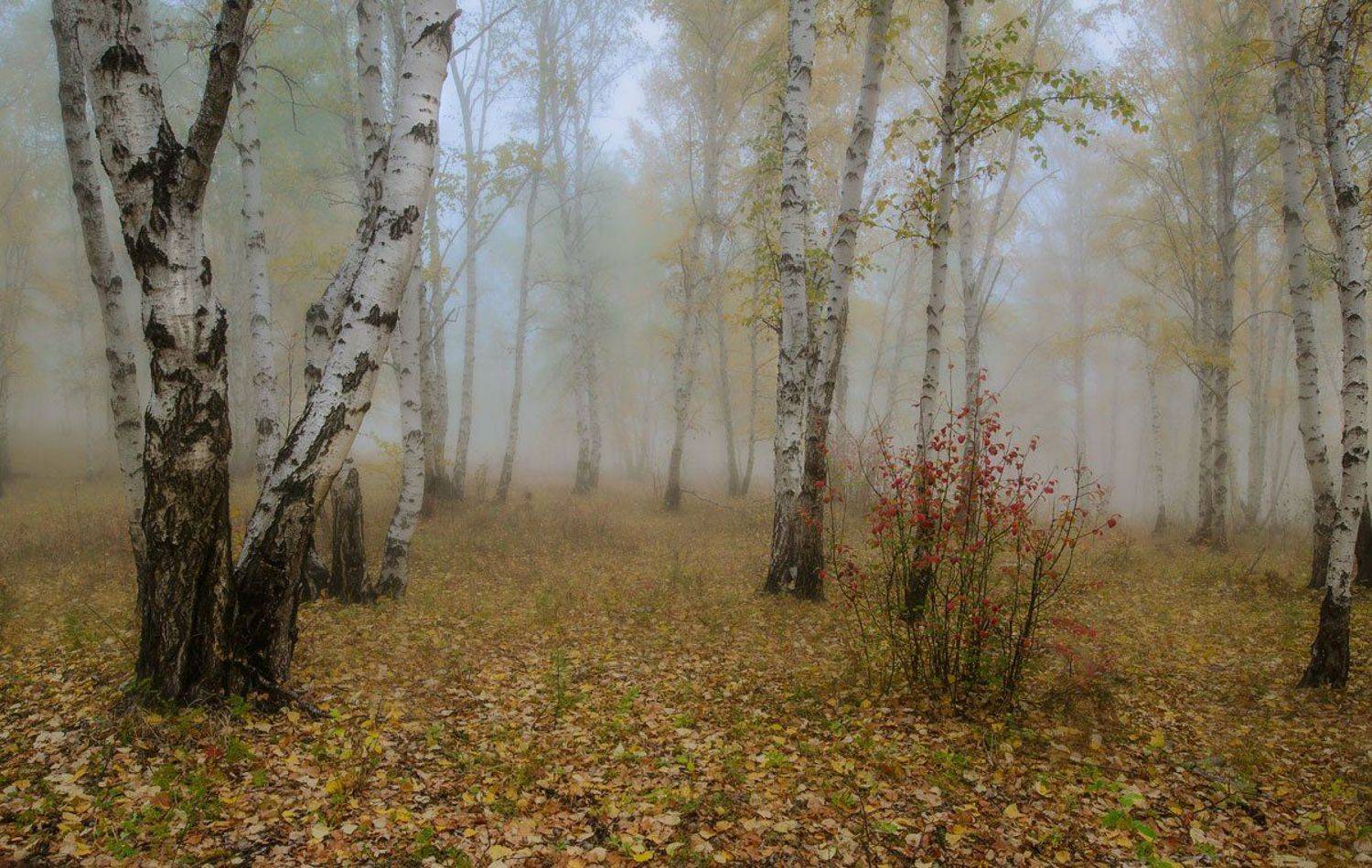Забайкалье, Сергей Брагин