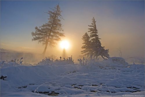 Зимой в Курае