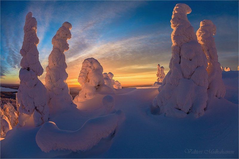 Зимние стражи ... фото превью