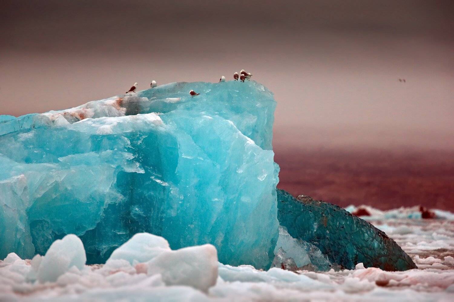 , Александр Перов