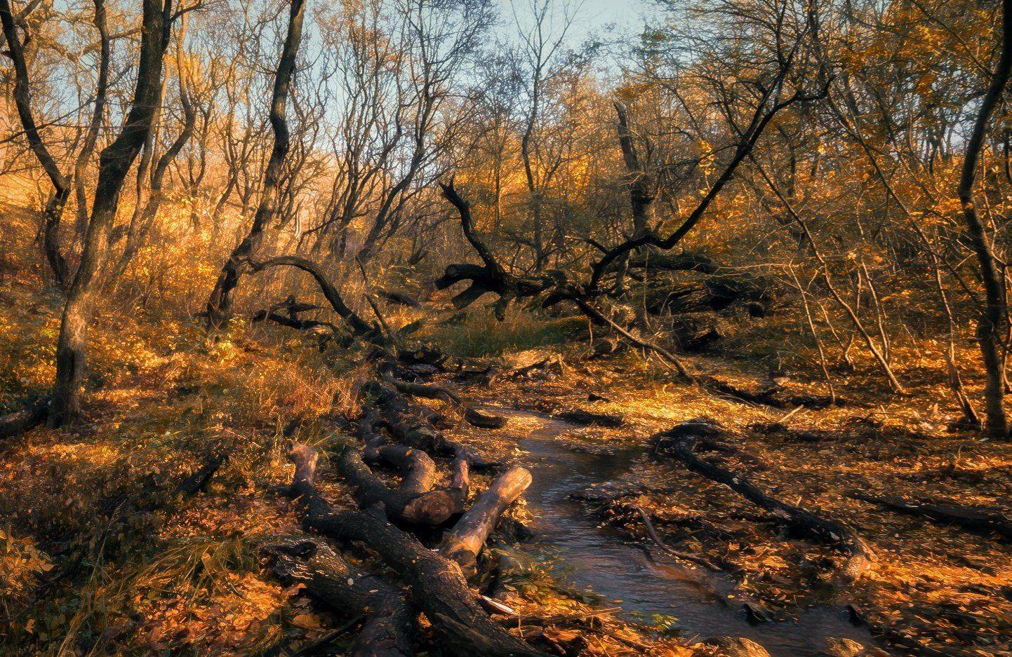 , Игорь Мелекесцев