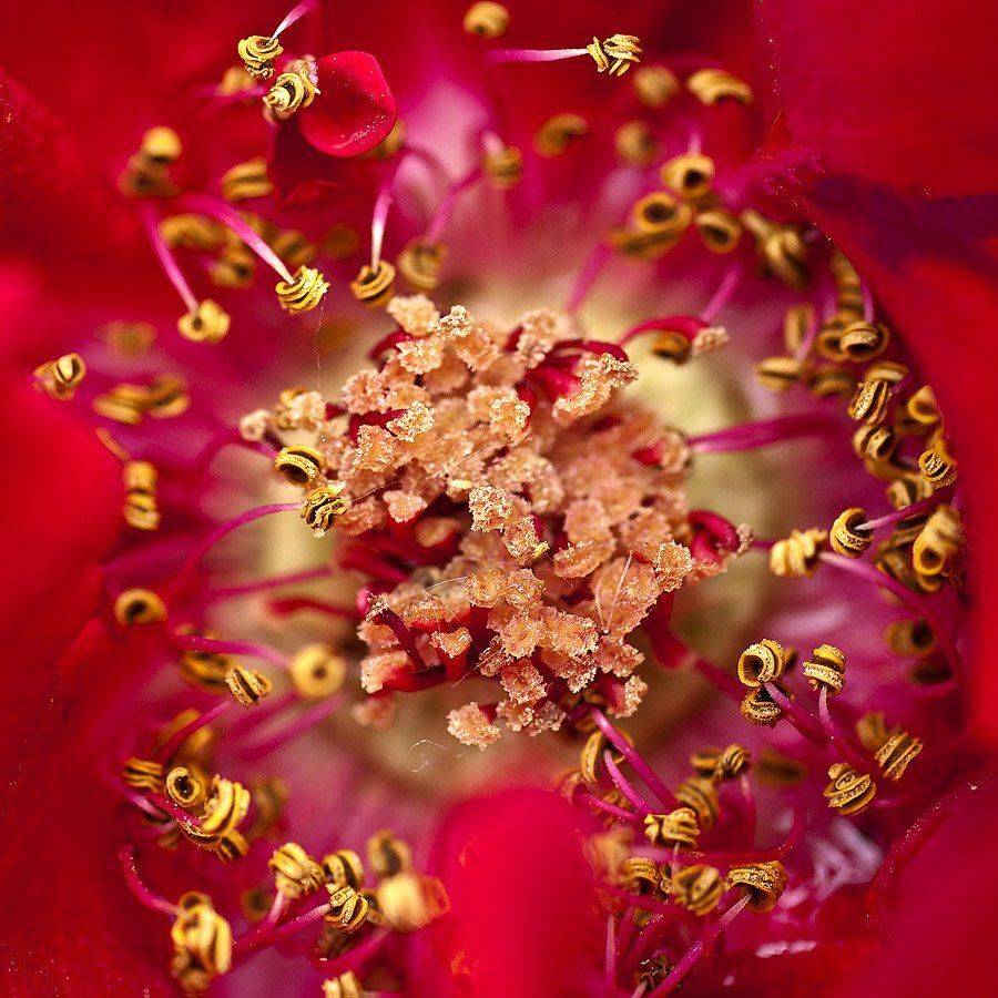 качурин алексей, макро, оренбургская область, орск, Качурин Алексей