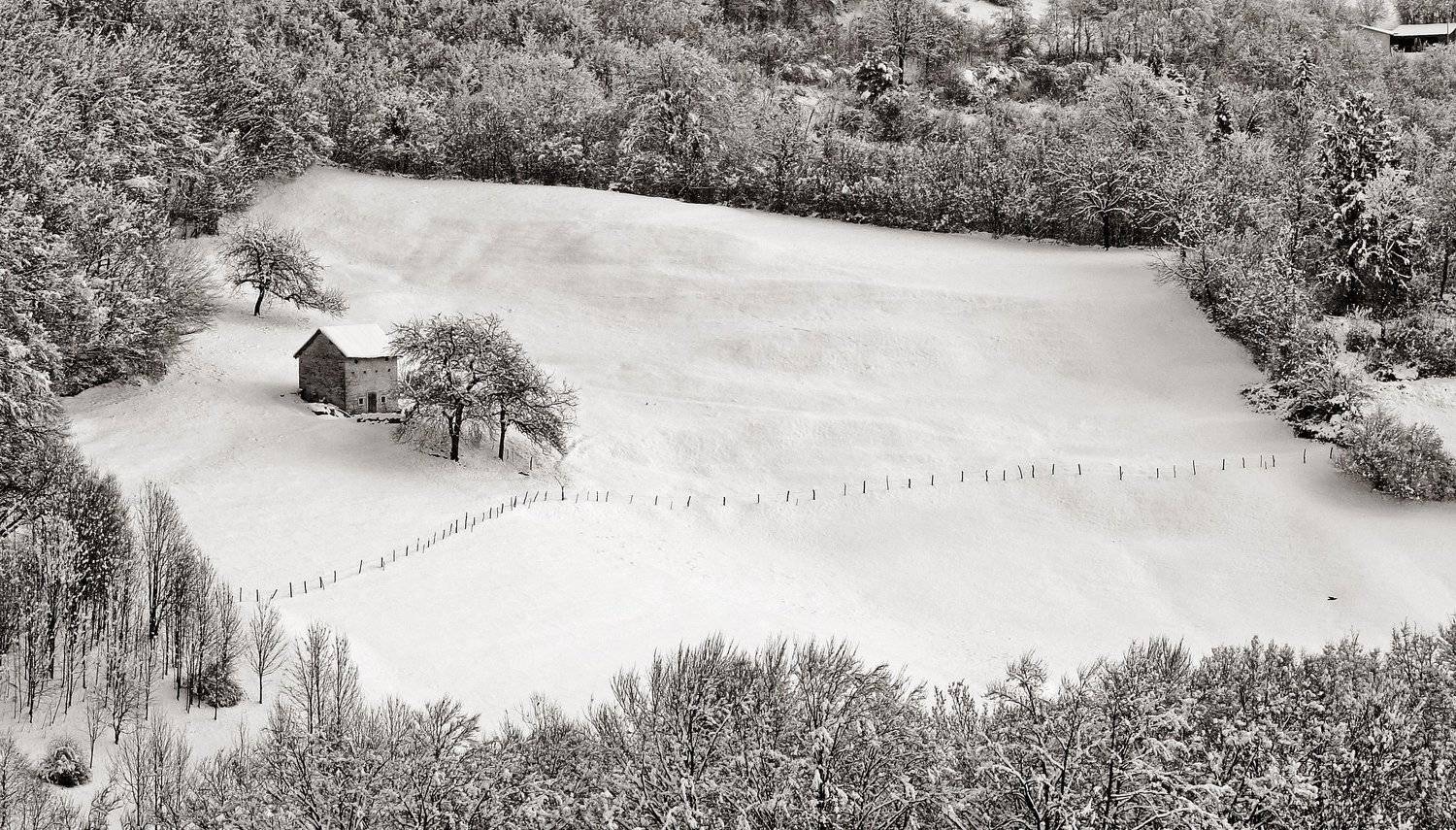 paesaggio,natura,alberi,neve,freddo,bianco,baita,, paologr63
