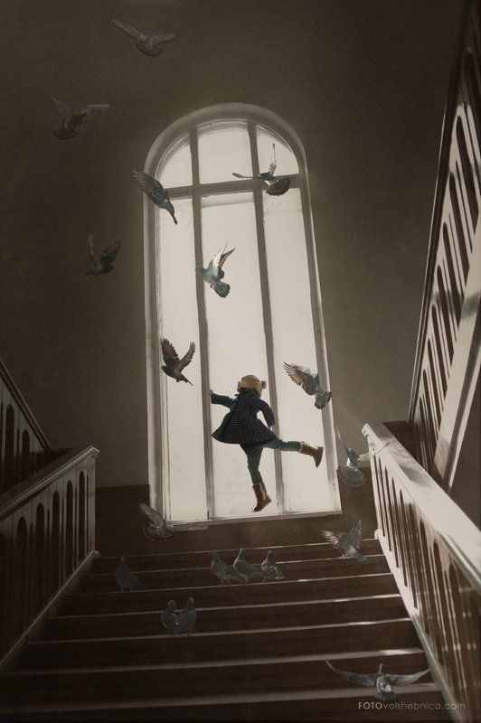 Дети и голуби, Детская фотография, Детский портрет Мелодия полета фото превью