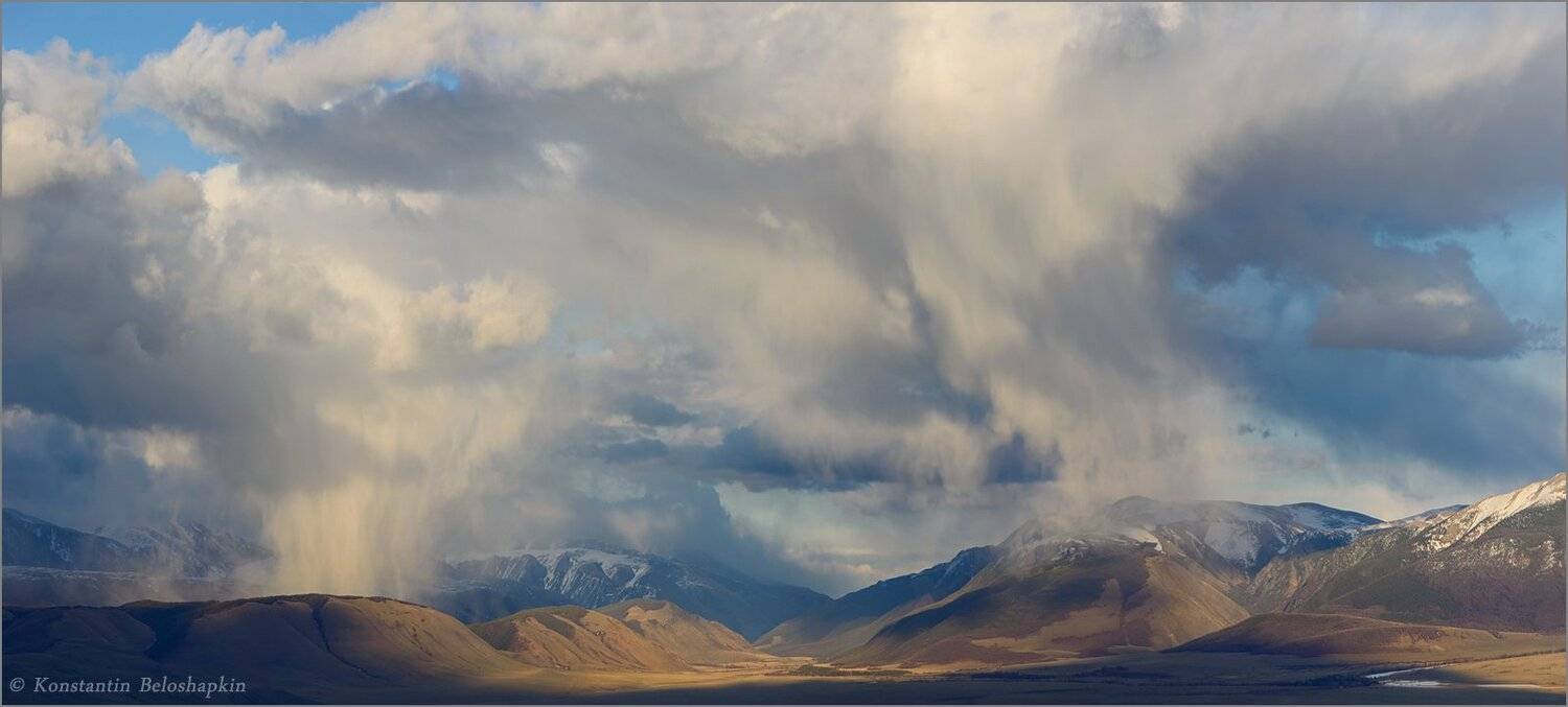 алтай, весна, константин белошапкин, курай, май, снег, Константин Белошапкин