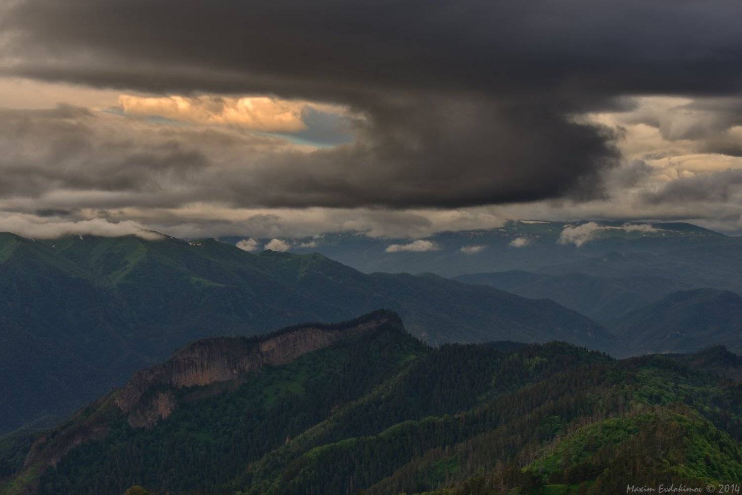 , Максим Евдокимов