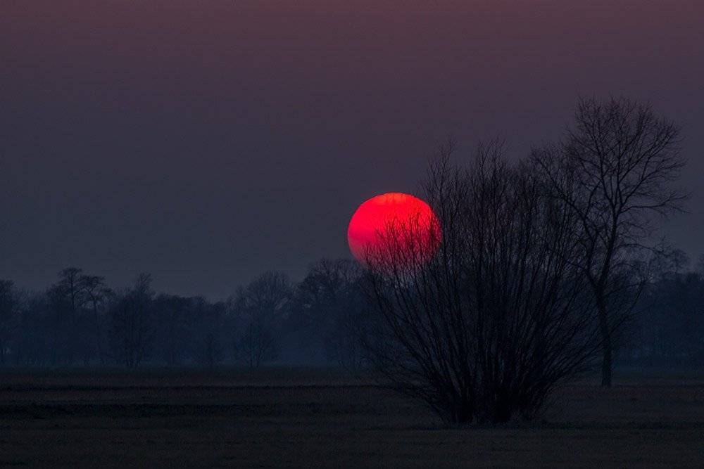 , Pawel Plucinski