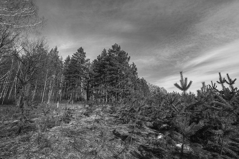 * фото превью