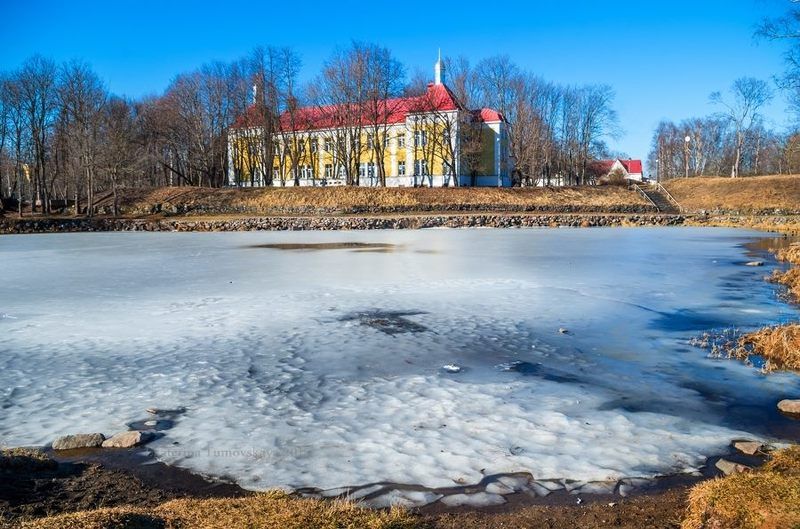 Корела весенняя фото превью