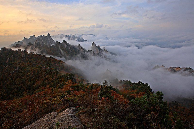 Fall of Sorak фото превью