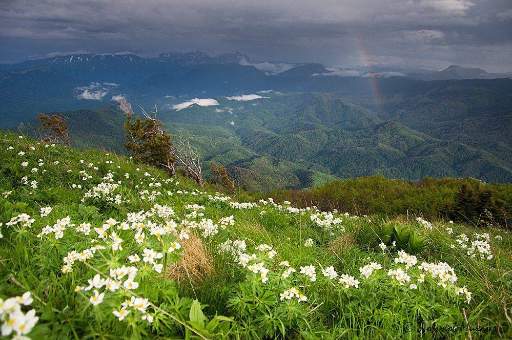 , Ловиков Михаил