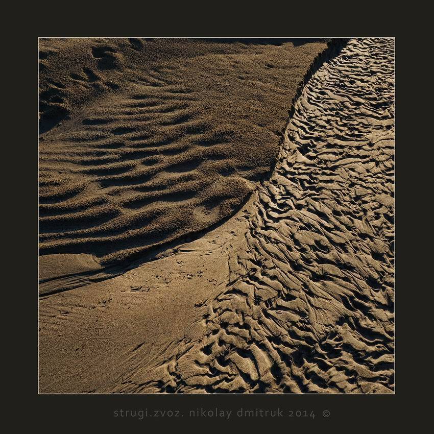 звоз, минимализм, музыка, природа, николай дмитрук