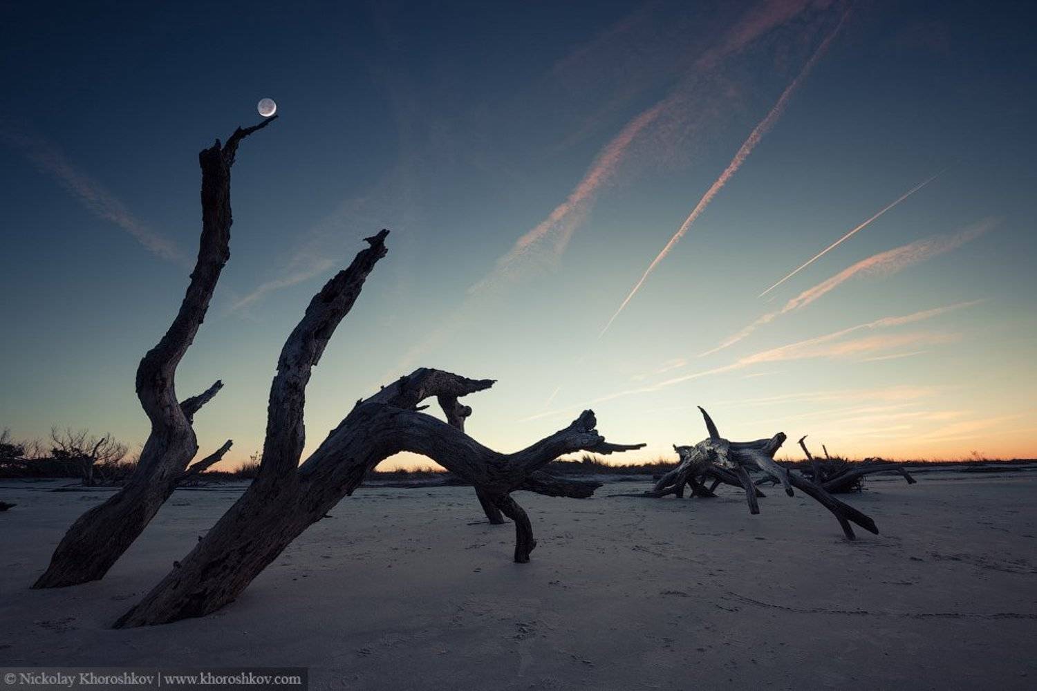 , Николай Хорошков