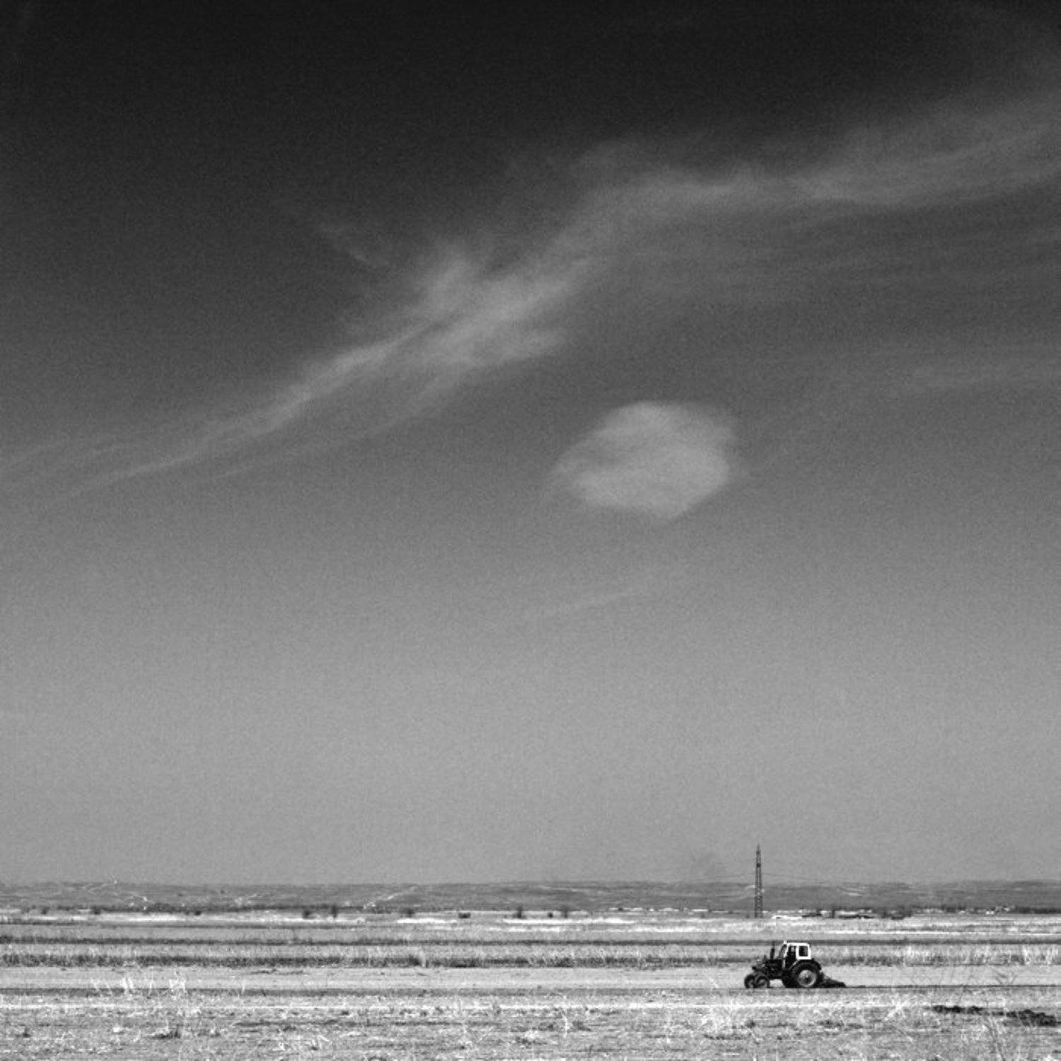 , Мира Голубь