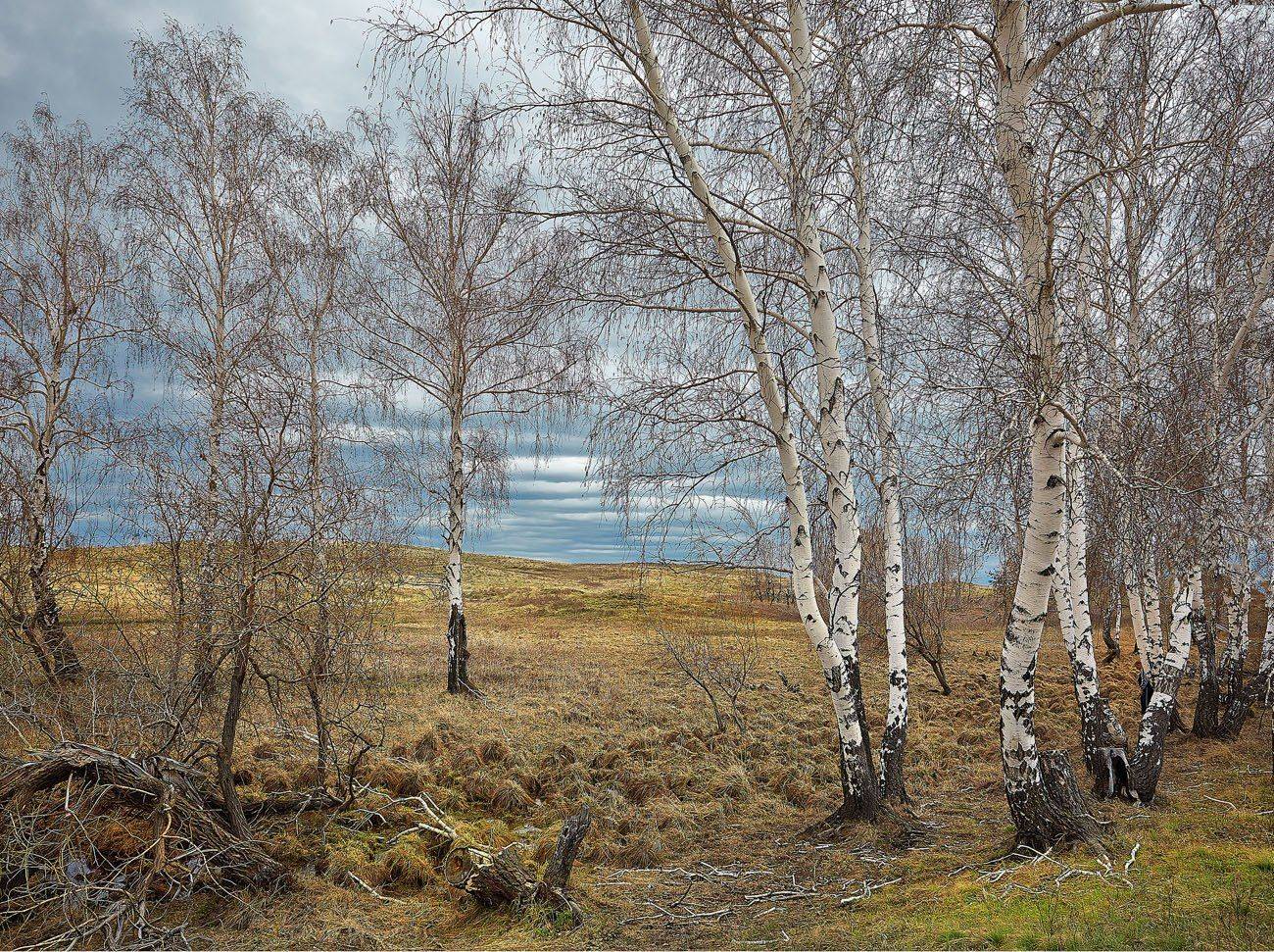 Губерля, Качурин, Качурин алексей, Оренбургская область, Орск, Качурин Алексей