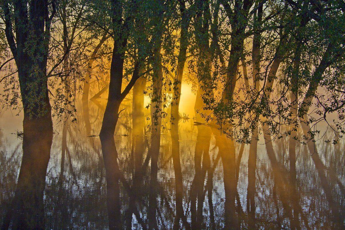 , Валерий Кондратов