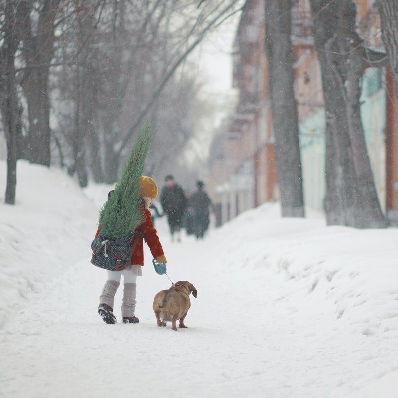 cypress фото превью