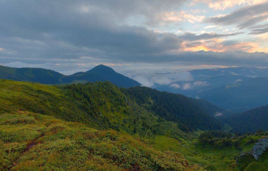 , Ярослав Тюрменко (Jaremi)