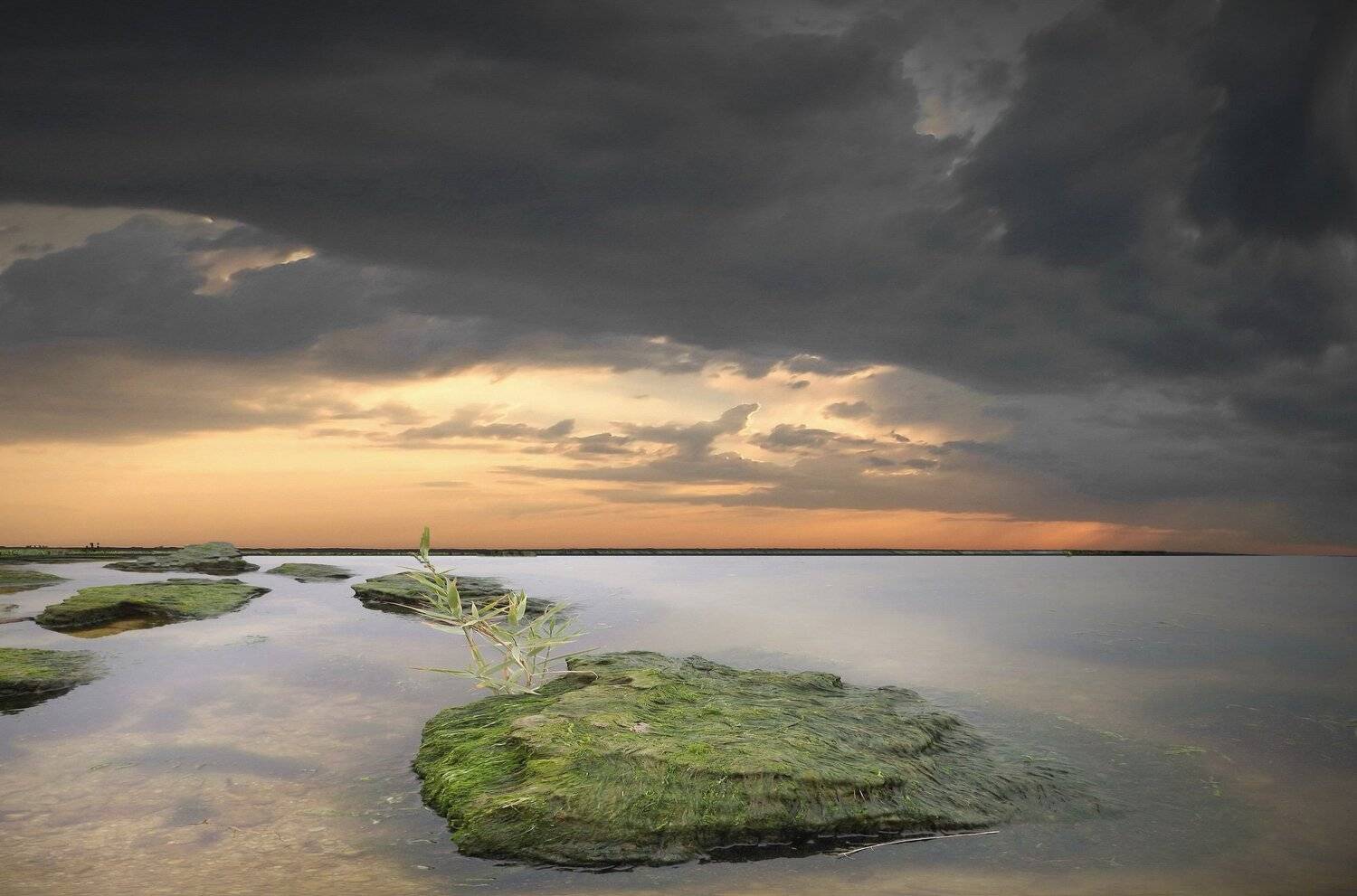 одесса, Сергей Кошелев