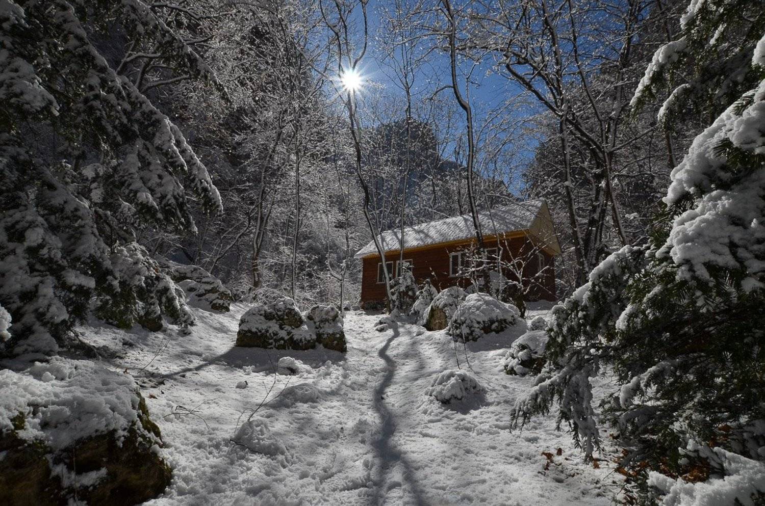 , Света и Вася