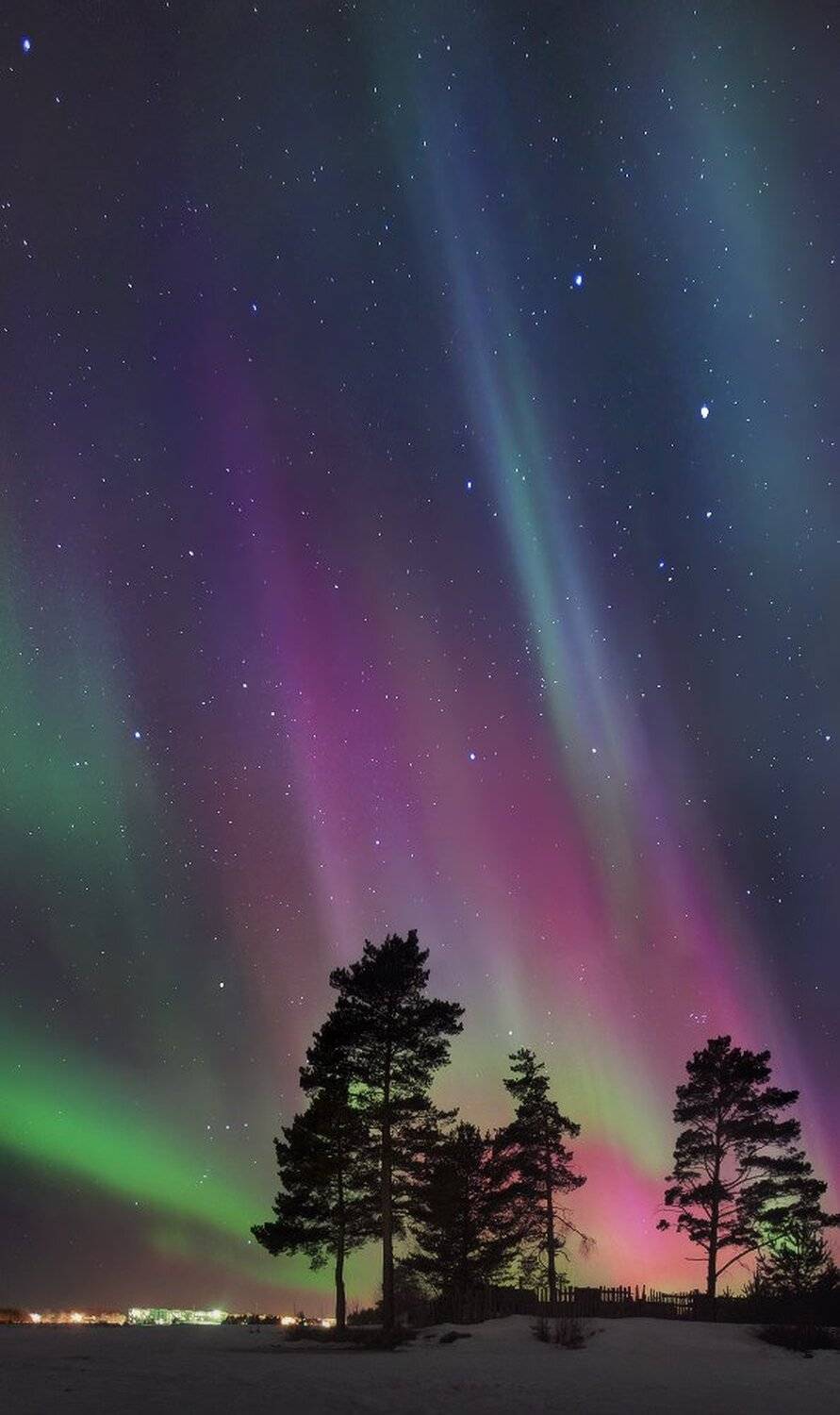 , Сергей Макурин