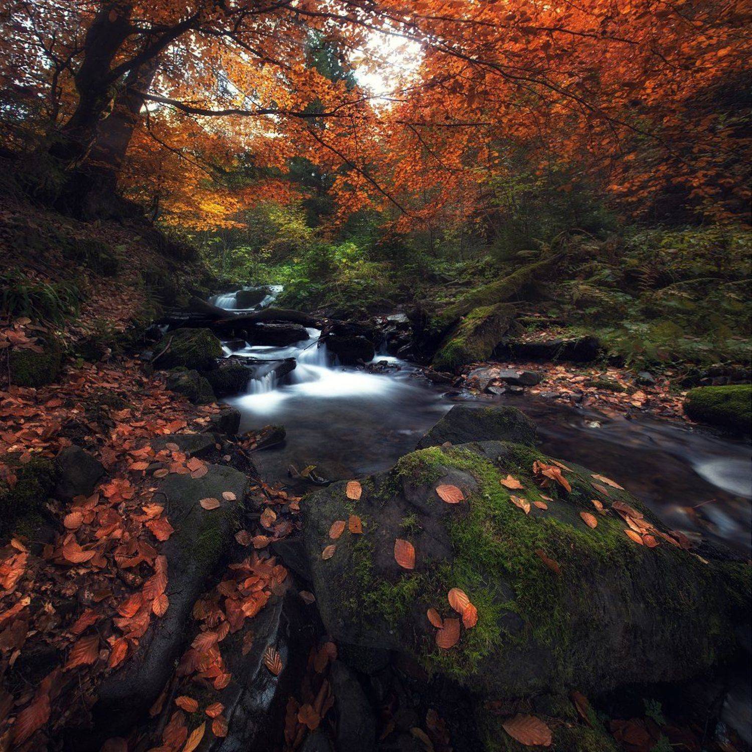 , Скалин Алексей