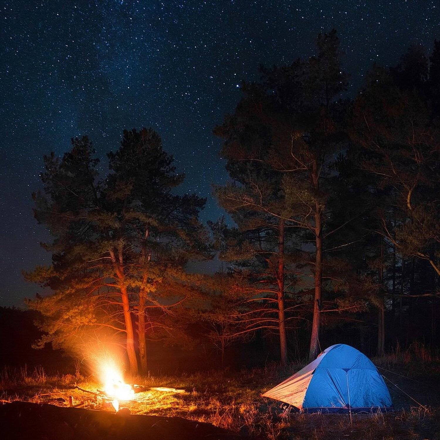 , Вилюнов Дмитрий