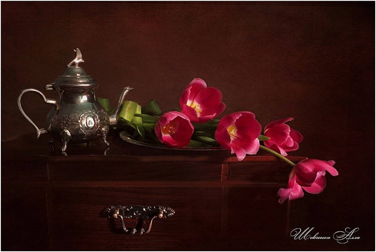 , Алла Шевченко