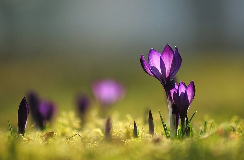 Oбнимая фото превью