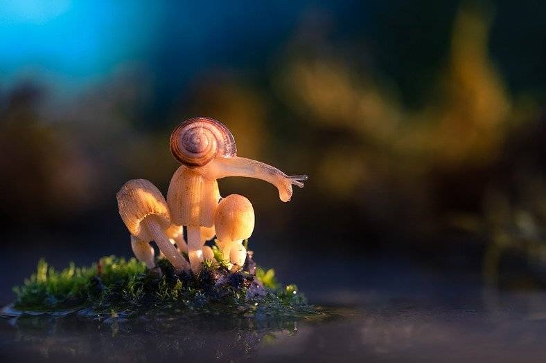 , Вячеслав Мищенко