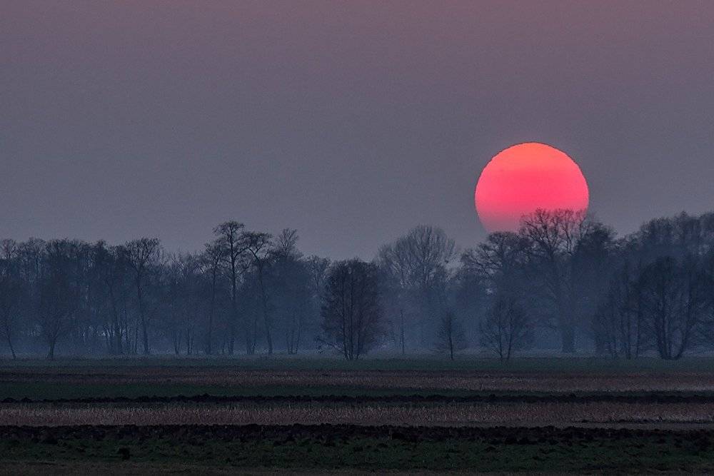 , Pawel Plucinski