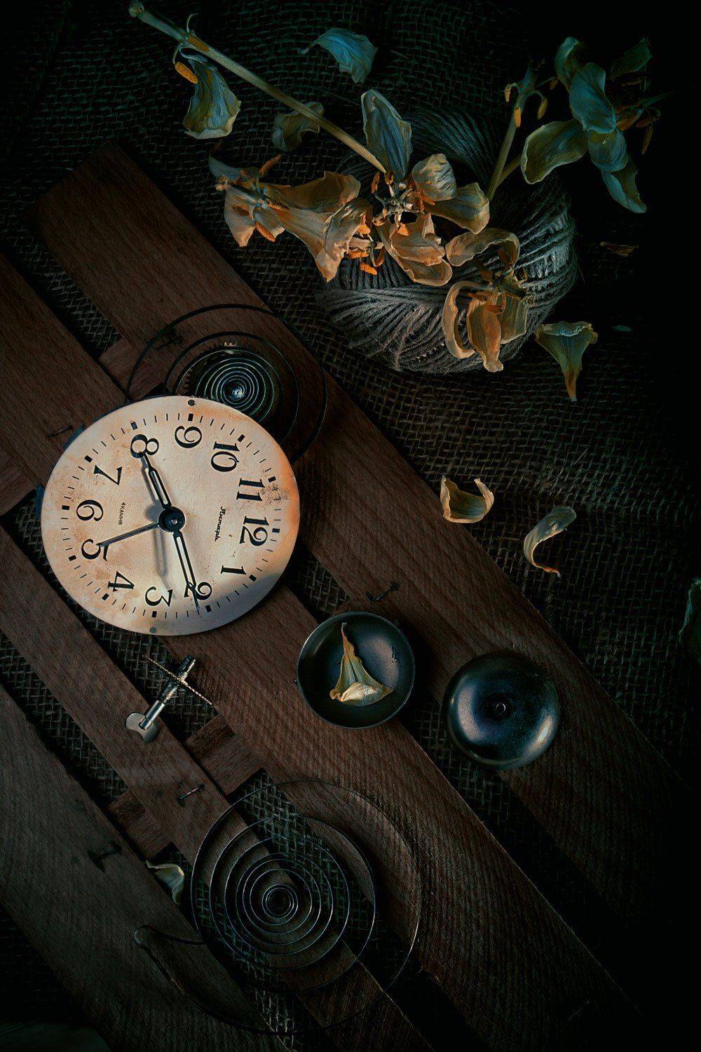 Лепестки, Механизм, Настроение, Натюрморт, Суровая нить, Сухоцвет, Тюльпаны, Часы, Ящик, Наталья Голубева