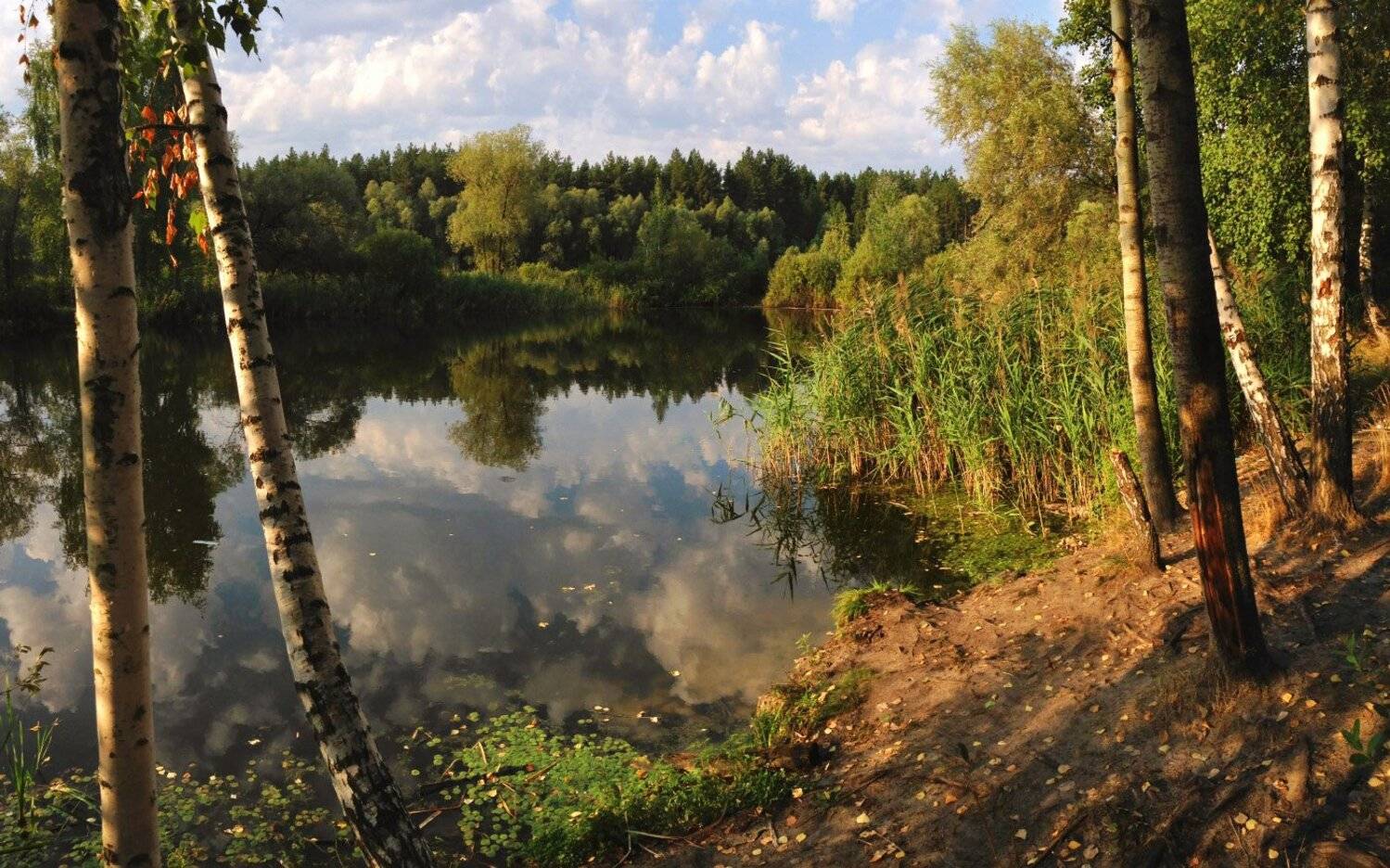 , Сергей