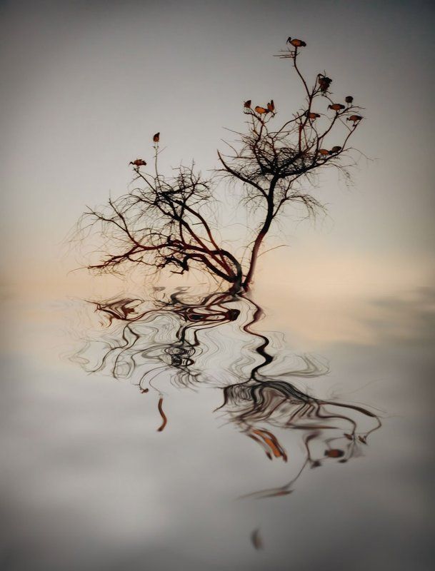 Скетч фото превью