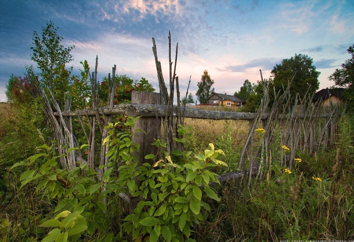 Ярославия, Ярославская область, Алексей Лобанов