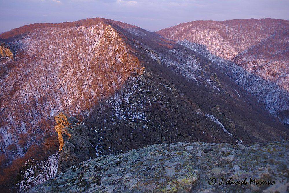 , Ловиков Михаил