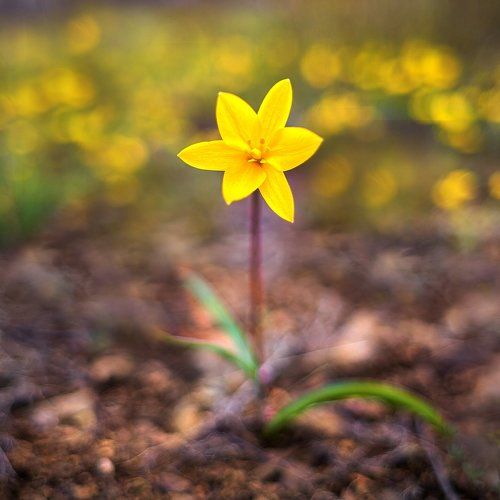 Мажор!!!