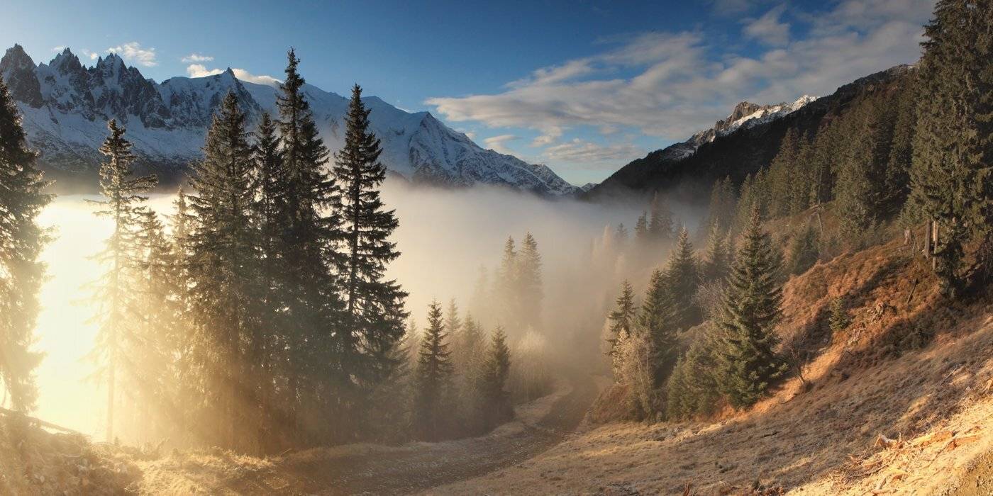 , Матвеев Николай