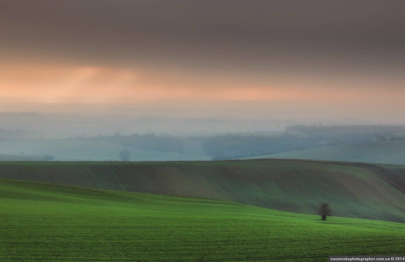 , Александр Науменко
