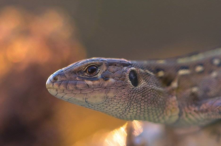 , Вячеслав Мищенко