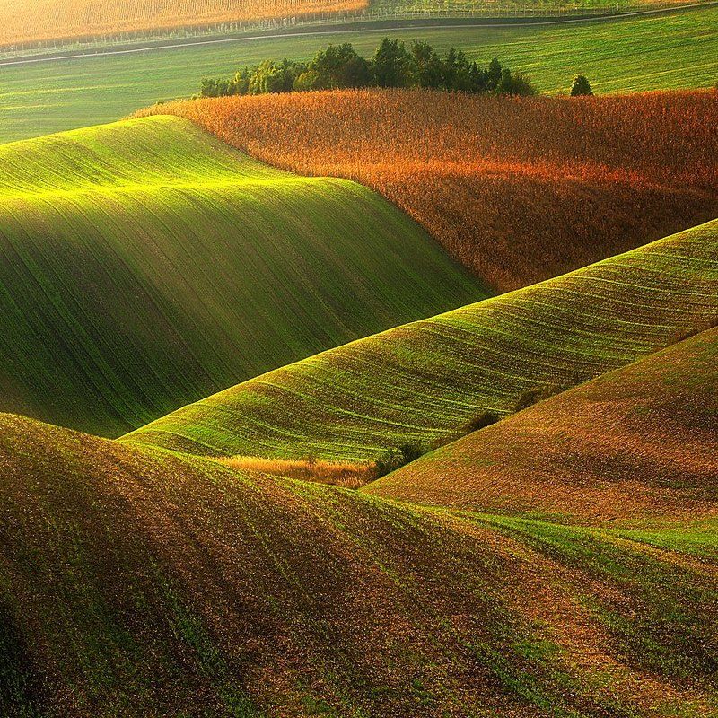 Moravia ... фото превью
