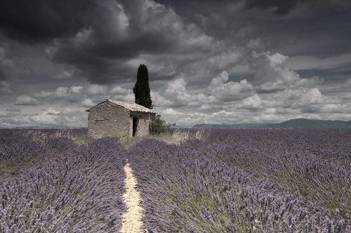 Summer Storm