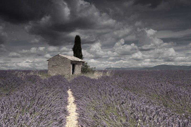 Landascape, Lavende, Lavender, Provence, Storm, Summer Summer Storm фото превью