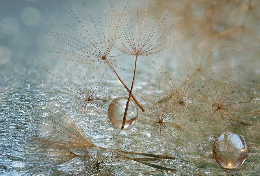 , Таня  Маркова