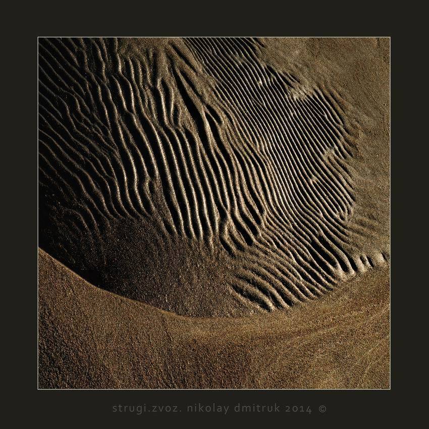 звоз, минимализм, музыка, природа, николай дмитрук