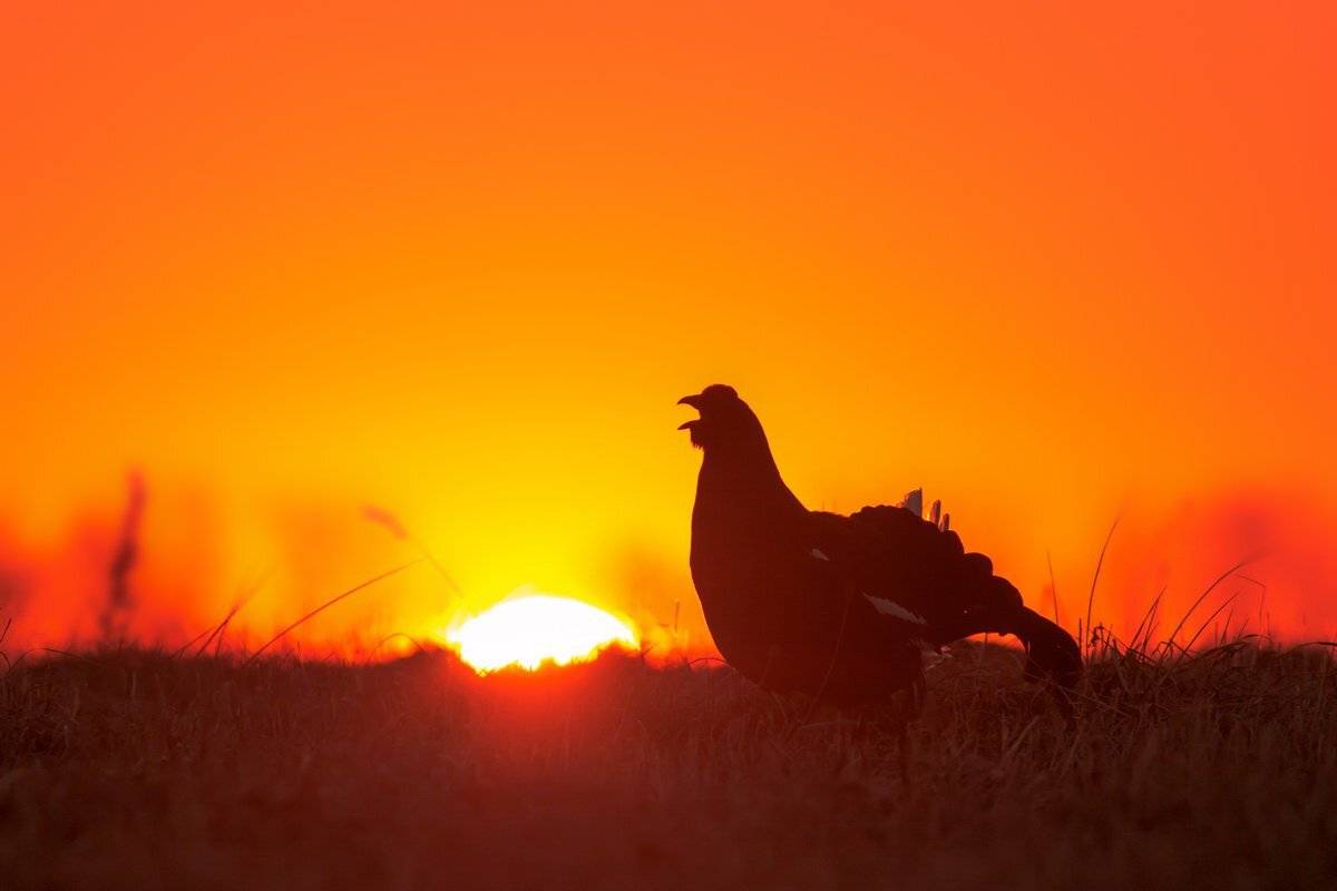 , Вилюнов Дмитрий