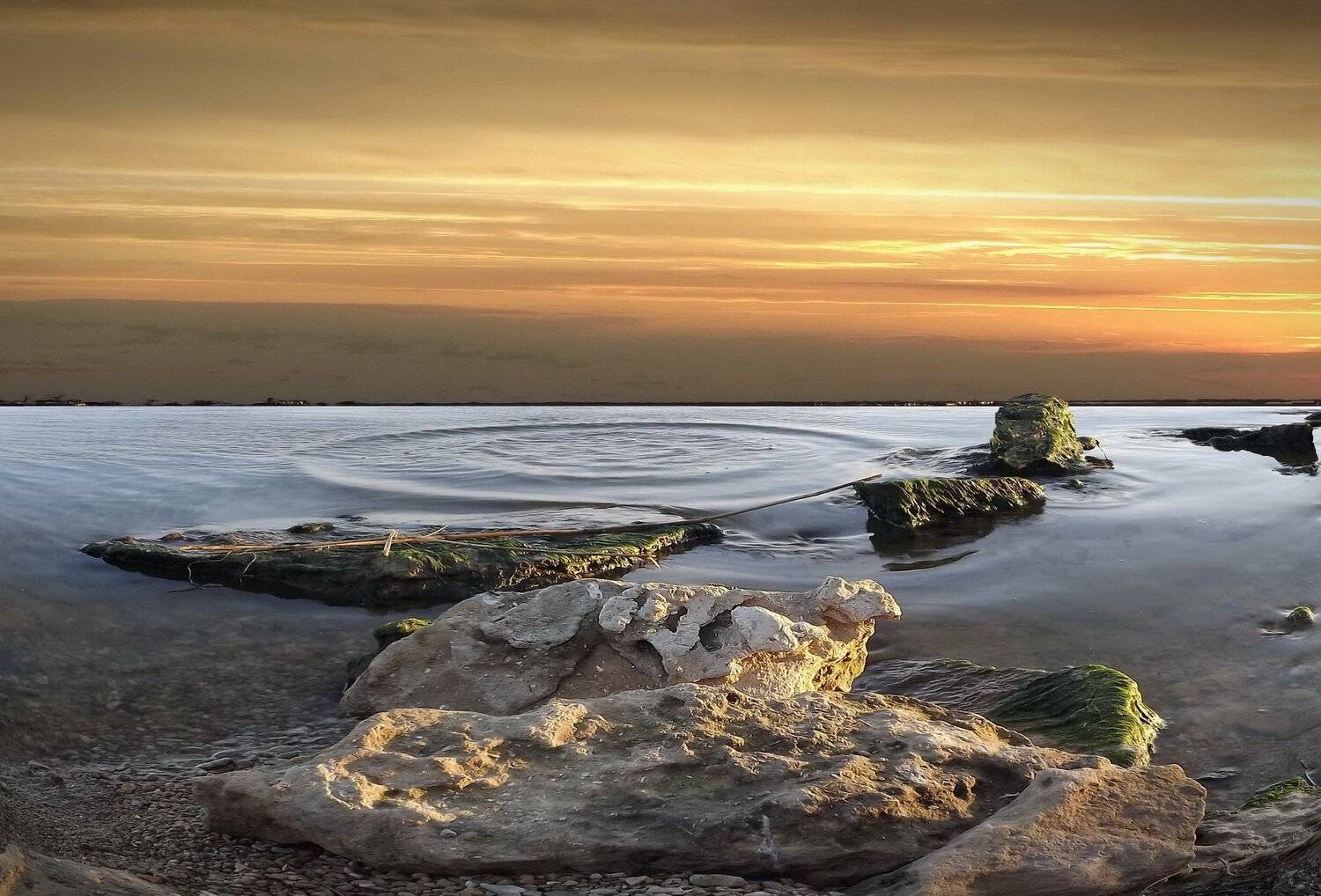 , Сергей Кошелев