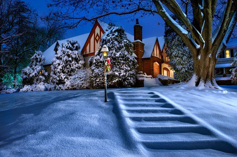 The Path Home фото превью